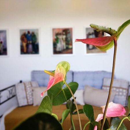 Casa Arte De Sorvilan ภายนอก รูปภาพ